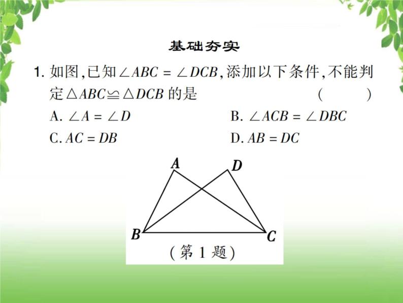 中考数学考点集训练习 4.19 全等三角形02