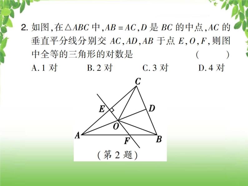 中考数学考点集训练习 4.19 全等三角形03