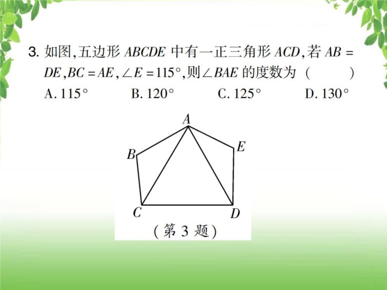 中考数学考点集训练习 4.19 全等三角形04