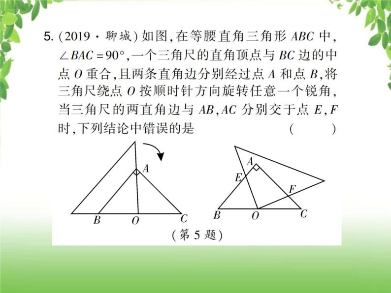 中考数学考点集训练习 4.19 全等三角形06