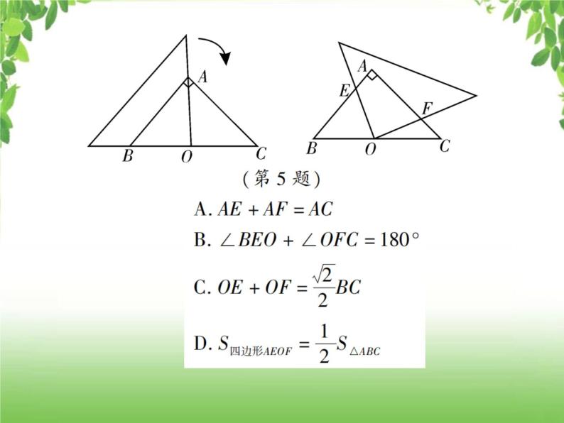 中考数学考点集训练习 4.19 全等三角形07