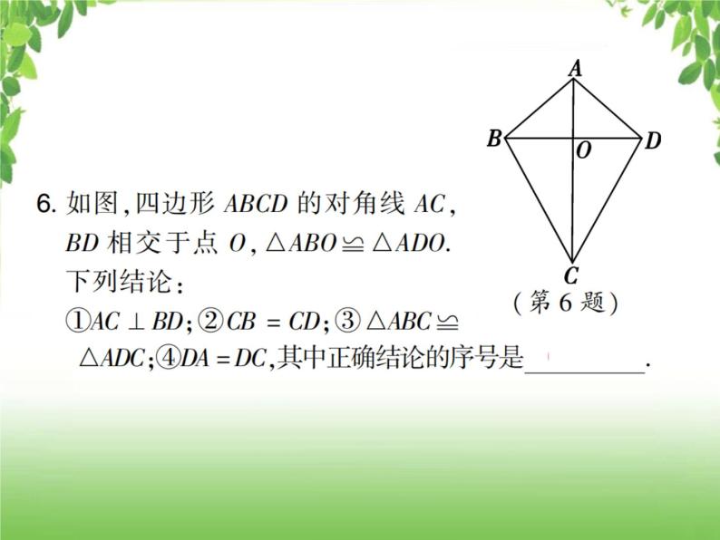 中考数学考点集训练习 4.19 全等三角形08