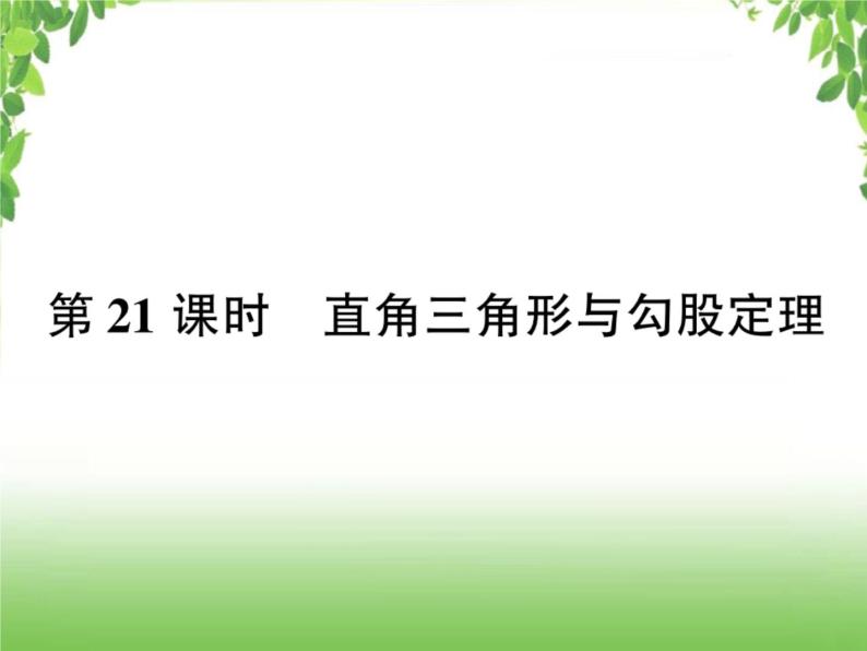 中考数学考点集训练习 4.21 直角三角形与勾股定理01