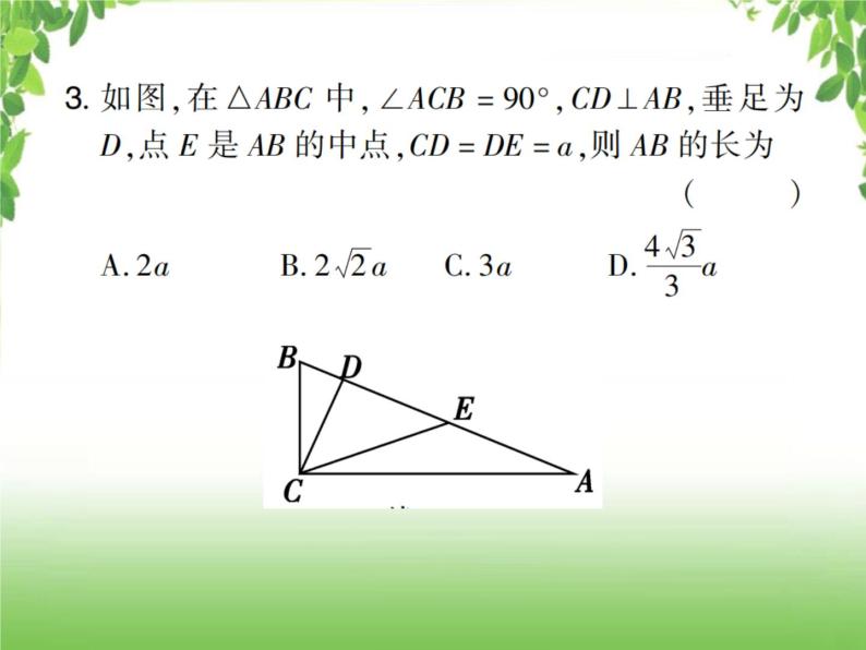 中考数学考点集训练习 4.21 直角三角形与勾股定理04