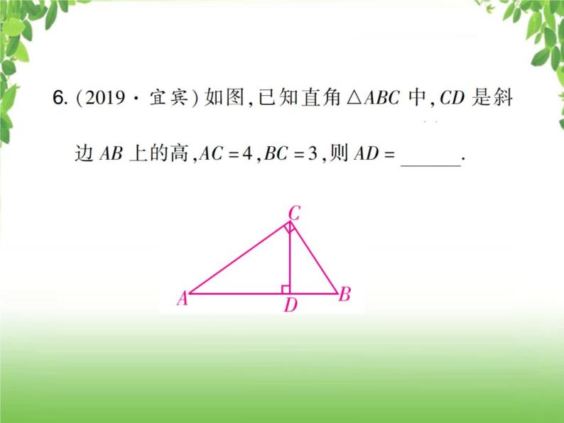 中考数学考点集训练习 4.21 直角三角形与勾股定理07