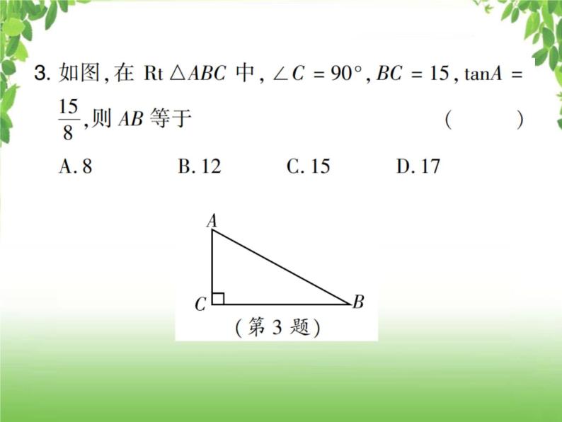 中考数学考点集训练习 4.26 锐角三角函数与解直角三角形04