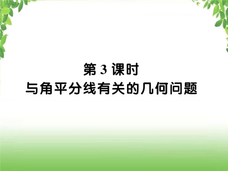 中考数学二轮专题突破课件：专题六 6.3 与角平分线有关的几何问题01