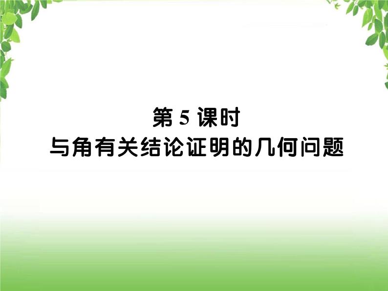 中考数学二轮专题突破课件:专题六 6.5 与角有关结论证明的几何问题01