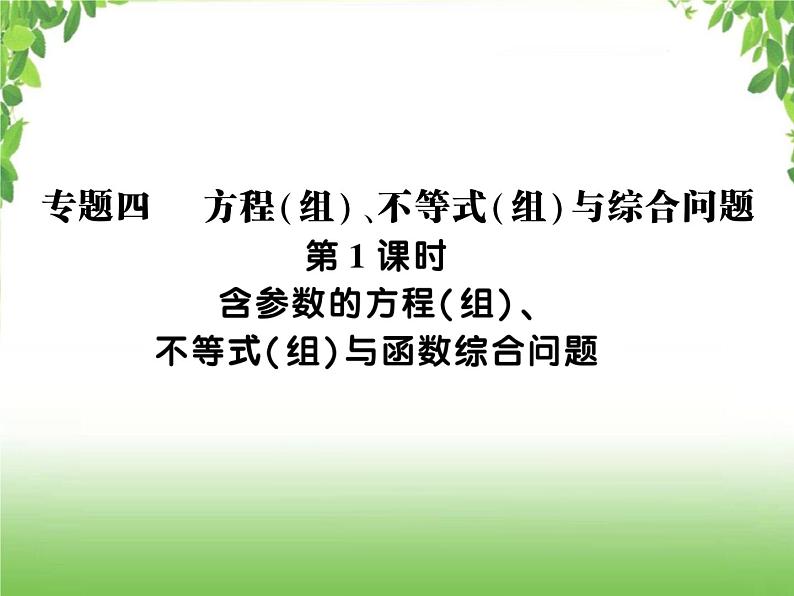 中考数学二轮专题突破课件:专题四 4.1含参数的方程(组)、不等式(组)与函数综合问题01