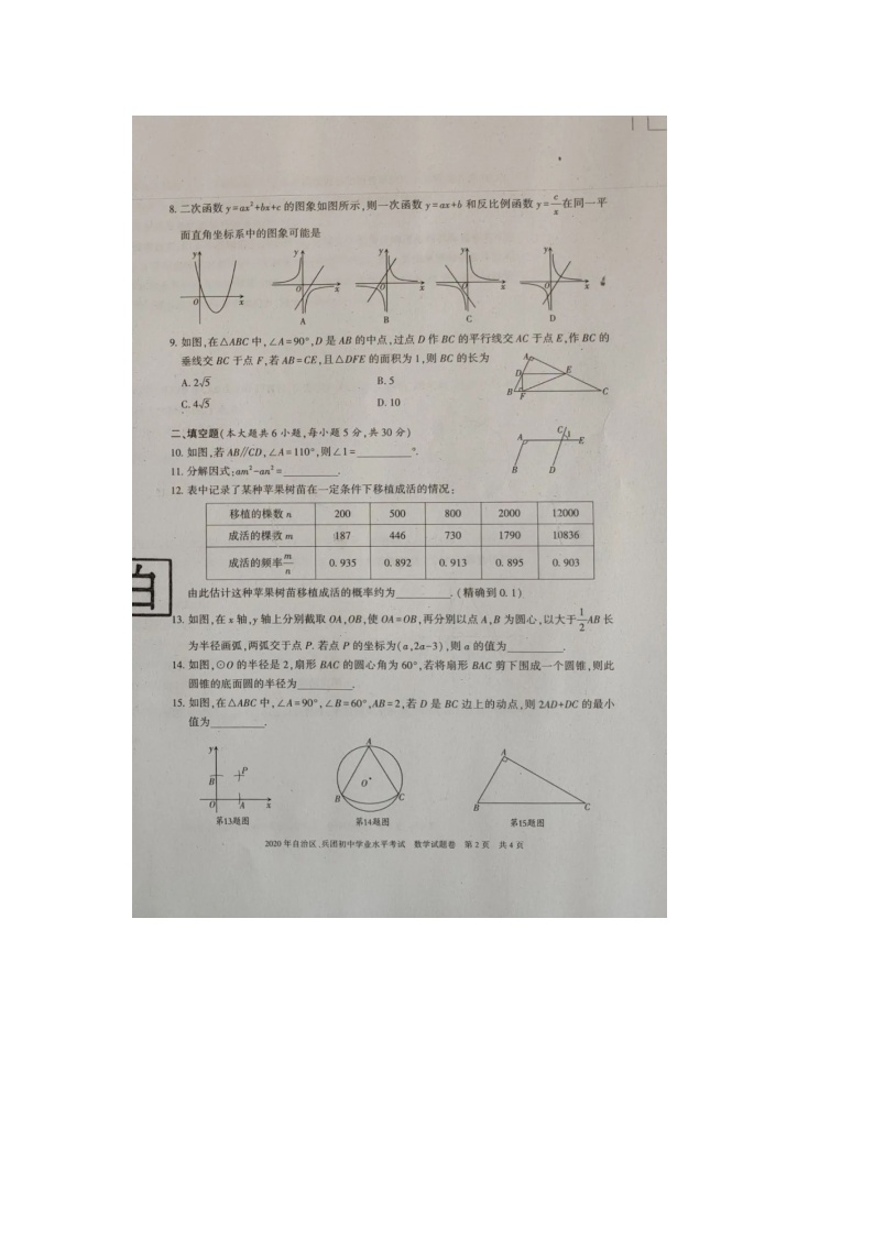 2020年新疆中考《数学》真题02