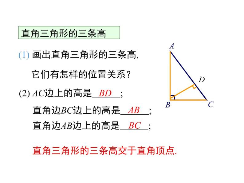 人教版八年级上册课件：11.1.2三角形的高、中线与角平分线08