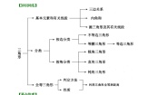 初中数学人教版八年级上册数学活动复习ppt课件