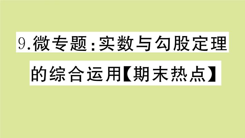 2020秋八年级数学上册第二章实数微专题:实数与勾股定理的综合运用【期末热点】作业课件(新版)北师大版01