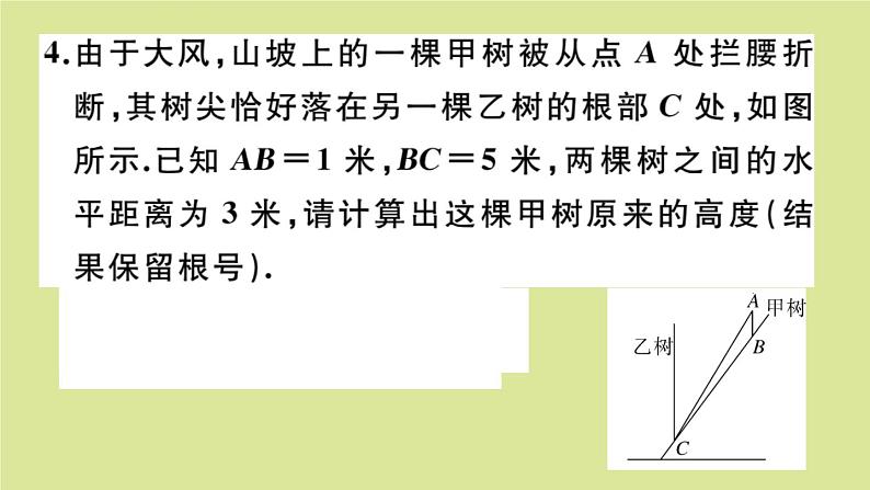2020秋八年级数学上册第二章实数微专题:实数与勾股定理的综合运用【期末热点】作业课件(新版)北师大版05