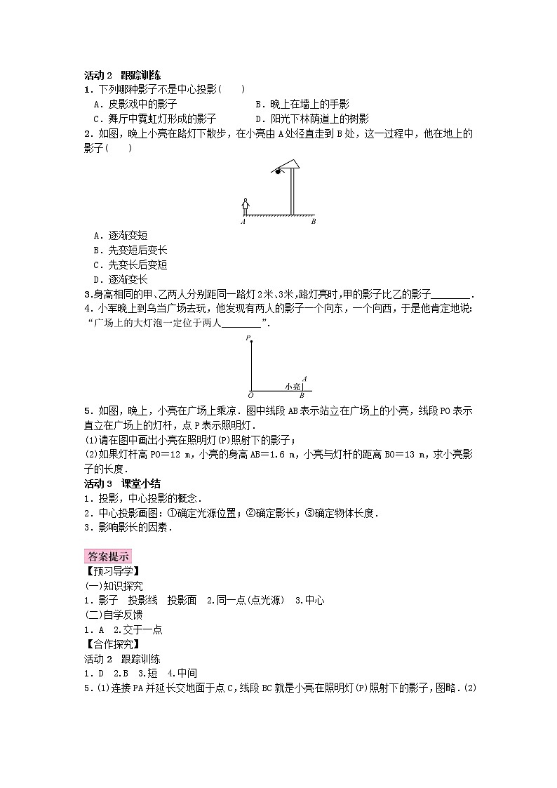 北师大版九年级数学上册教案:5.1 投影(含答案)02