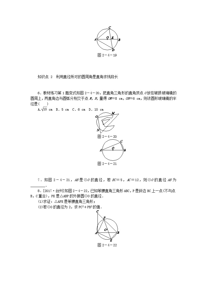 2020年苏科版九年级数学上册2.4圆周角第2课时特殊圆周角 同步练习(含答案)02