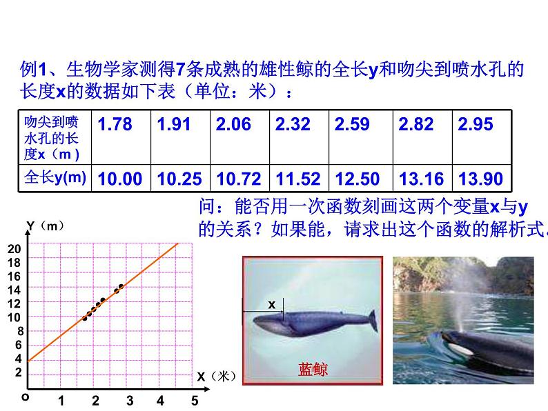 浙教版八年级数学上册课件:5.5 一次函数的简单应用 (共10张PPT)03