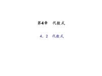 浙教版七年级上册4.2 代数式备课ppt课件