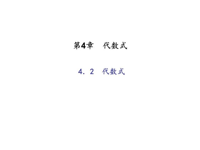 2020年浙教版七年级数学上册：4.2　代数式 (共17张PPT)（含答案）01