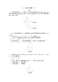 初中浙教版1.1 认识三角形学案设计