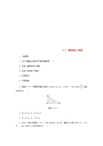 初中数学湘教版九年级上册4.3 解直角三角形学案设计