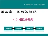 4.3 相似多边形 PPT课件