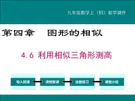 4.6 利用相似三角形测高 PPT课件