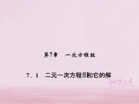 2021年华东师大版七年级数学下册7.1二元一次方程组和它的解 习题课件(含答案)