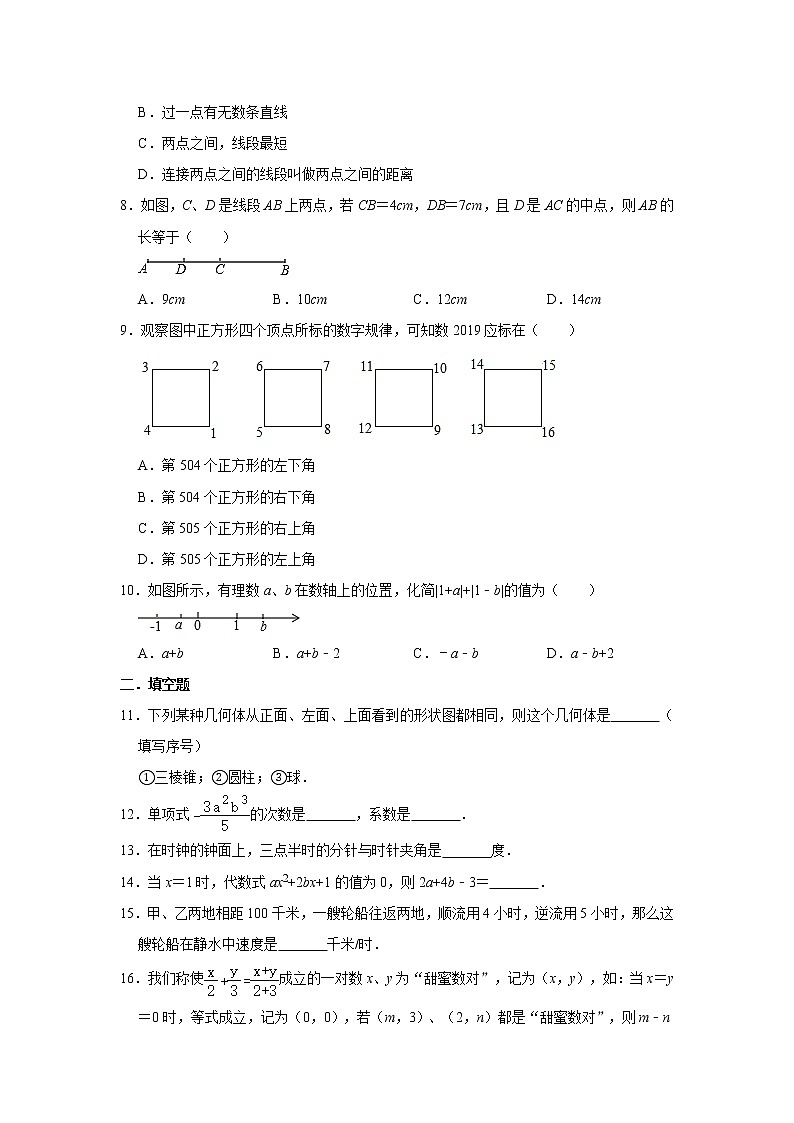 2020年北师大版七年级上册期末复习训练卷 解析版02