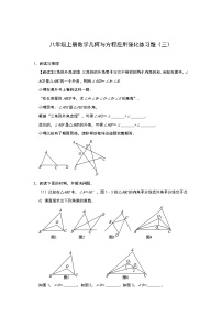 人教版八年级上册数学几何与方程应用强化练习题（三）