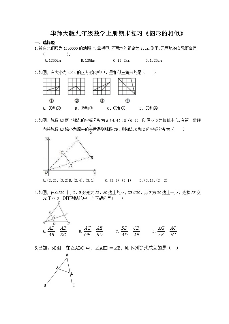 2020华师大版九年级数学上册期末复习《图形的相似》(含答案) 试卷01