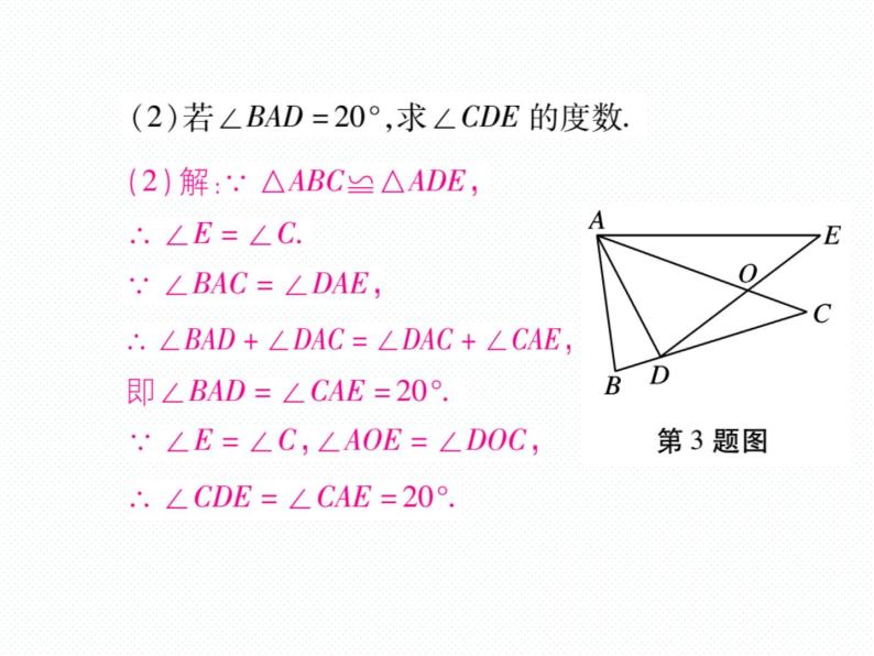 华东师大版八年级数学上  专题训练  七  全等三角形中的常见模型 课件05
