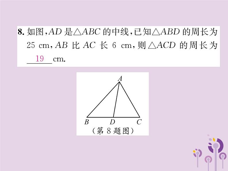 八年级数学上册第11章三角形双休作业(一)作业课件07