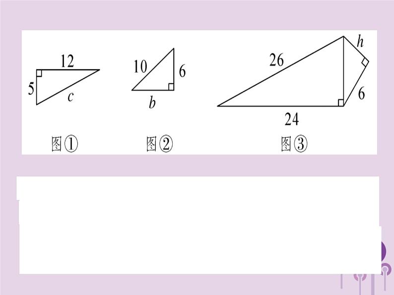 2019春八年级数学下册第十七章《勾股定理》章节复习习题课件02