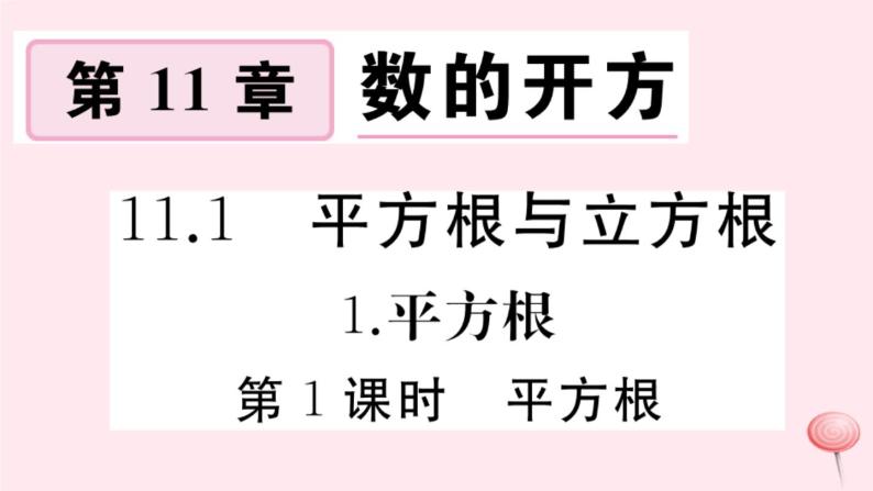 2019秋八年级数学上册第11章数的开方11-1平方根与立方根1平方根第1课时平方根习题课件01