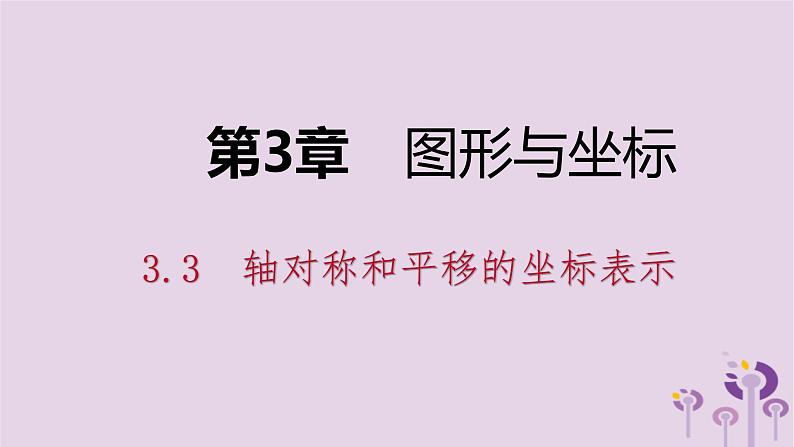 八年级下数学课件3-3 轴对称和平移的坐标表示_湘教版01