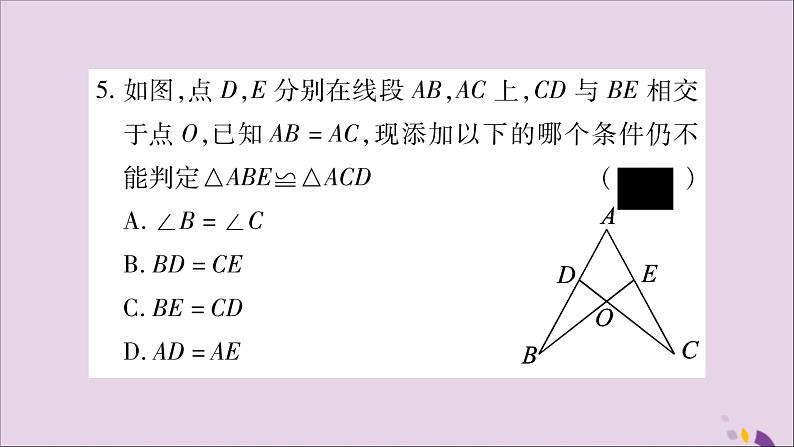 八年级数学上册第2章三角形2-5全等三角形第6课时全等三角形判定方法的综合应用习题课件(新版)湘教版04