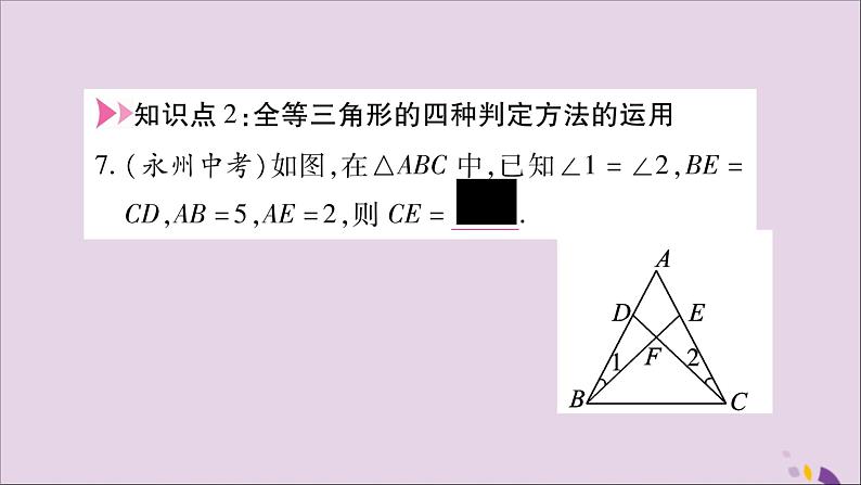 八年级数学上册第2章三角形2-5全等三角形第6课时全等三角形判定方法的综合应用习题课件(新版)湘教版07