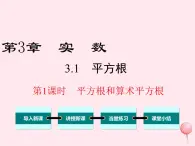 八年级数学上册第3章实数3-1平方根第1课时平方根和算术平方根教学课件（新版）湘教版