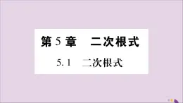 八年级数学上册第5章二次根式5-1二次根式第1课时二次根式的概念及性质习题课件（新版）湘教版