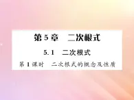 2019秋八年级数学上册第5章二次根式5-1二次根式（第1课时二次根式的概念及性质）习题课件（新版）湘教版