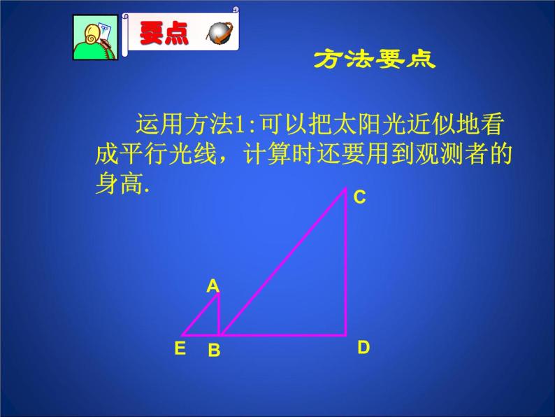 八年级下数学课件《利用相似三角形测高》参考课件_鲁教版05