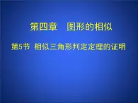 八年级下数学课件《相似三角形判定定理的证明》参考课件2_鲁教版