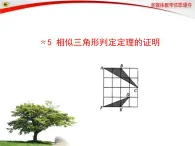 八年级下数学课件《相似三角形判定定理的证明》参考课件1_鲁教版