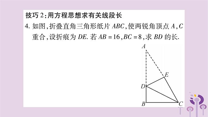 八年级数学上册第14章勾股定理小专题(十一)利用勾股定理巧解折叠问题作业课件05