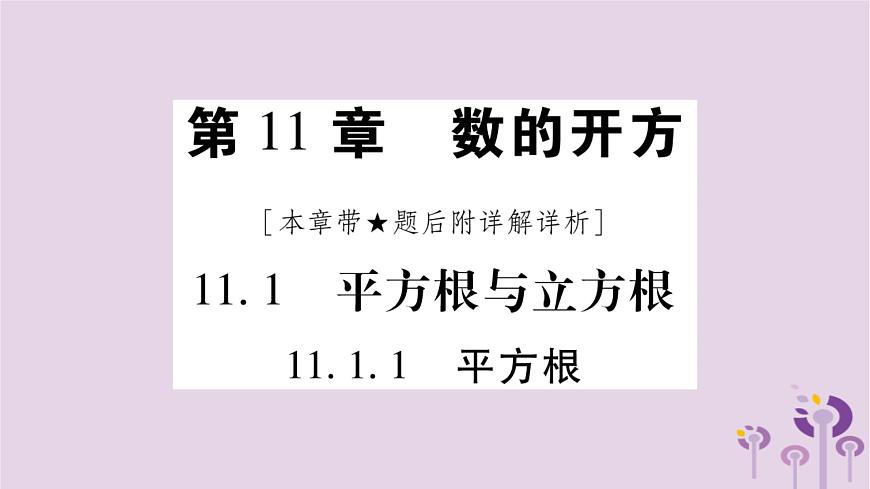 八年級數(shù)學(xué)上冊第11章數(shù)的開方11-1平方根與立方根11-1-1平方根作業(yè)課件第1頁