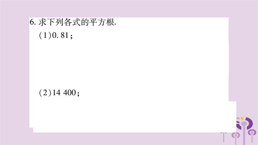 八年級數(shù)學(xué)上冊第11章數(shù)的開方11-1平方根與立方根11-1-1平方根作業(yè)課件第5頁