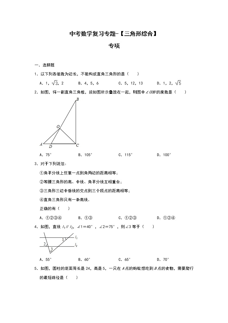 中考数学复习专题 三角形综合 高频考点专项含答案01