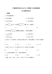 精品解析：湖南省长沙市中雅培粹学校2018-2019学年度七年级下学期第三次月考数学试题（原卷版）