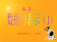 北师大2011课标版七年级上册数学数据的表示 课件